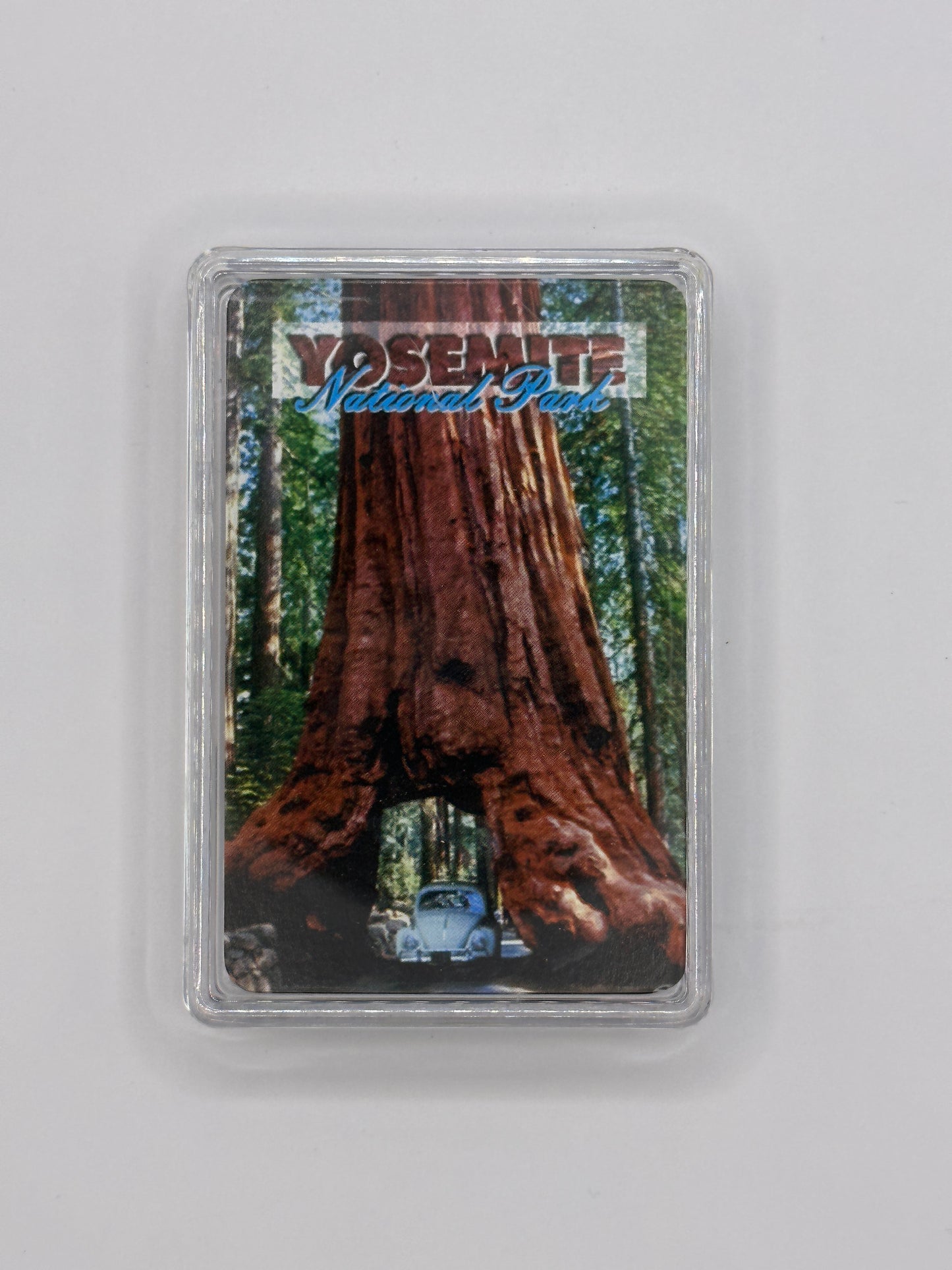 Wawona Tree
