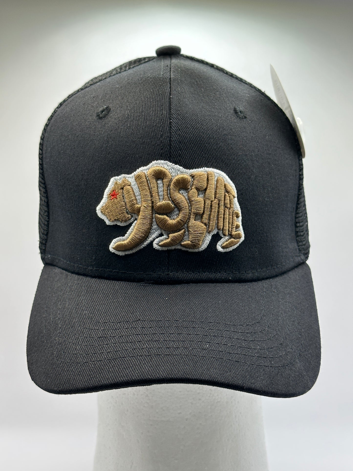 Black Yosemite Bear