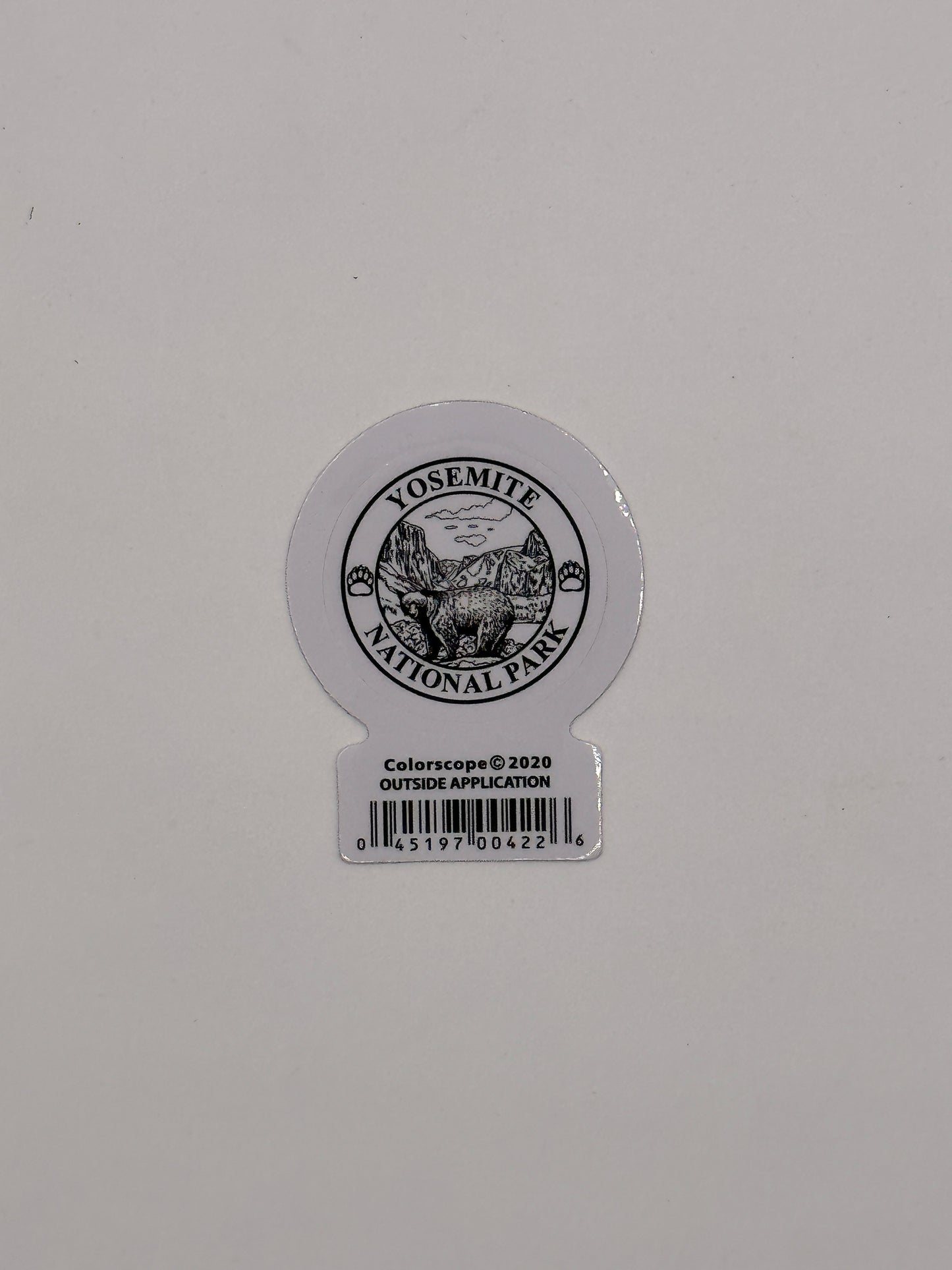 Circle Valley Bear