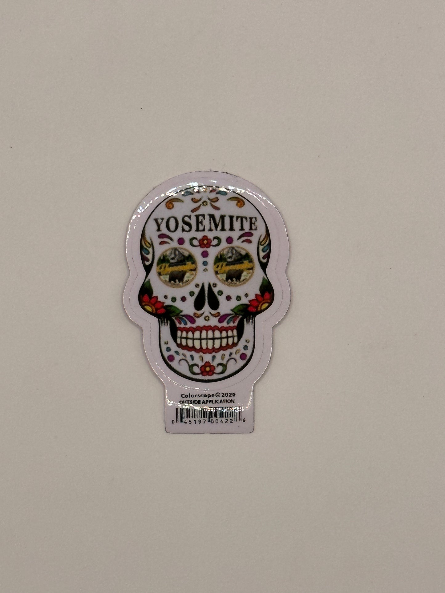 Skull