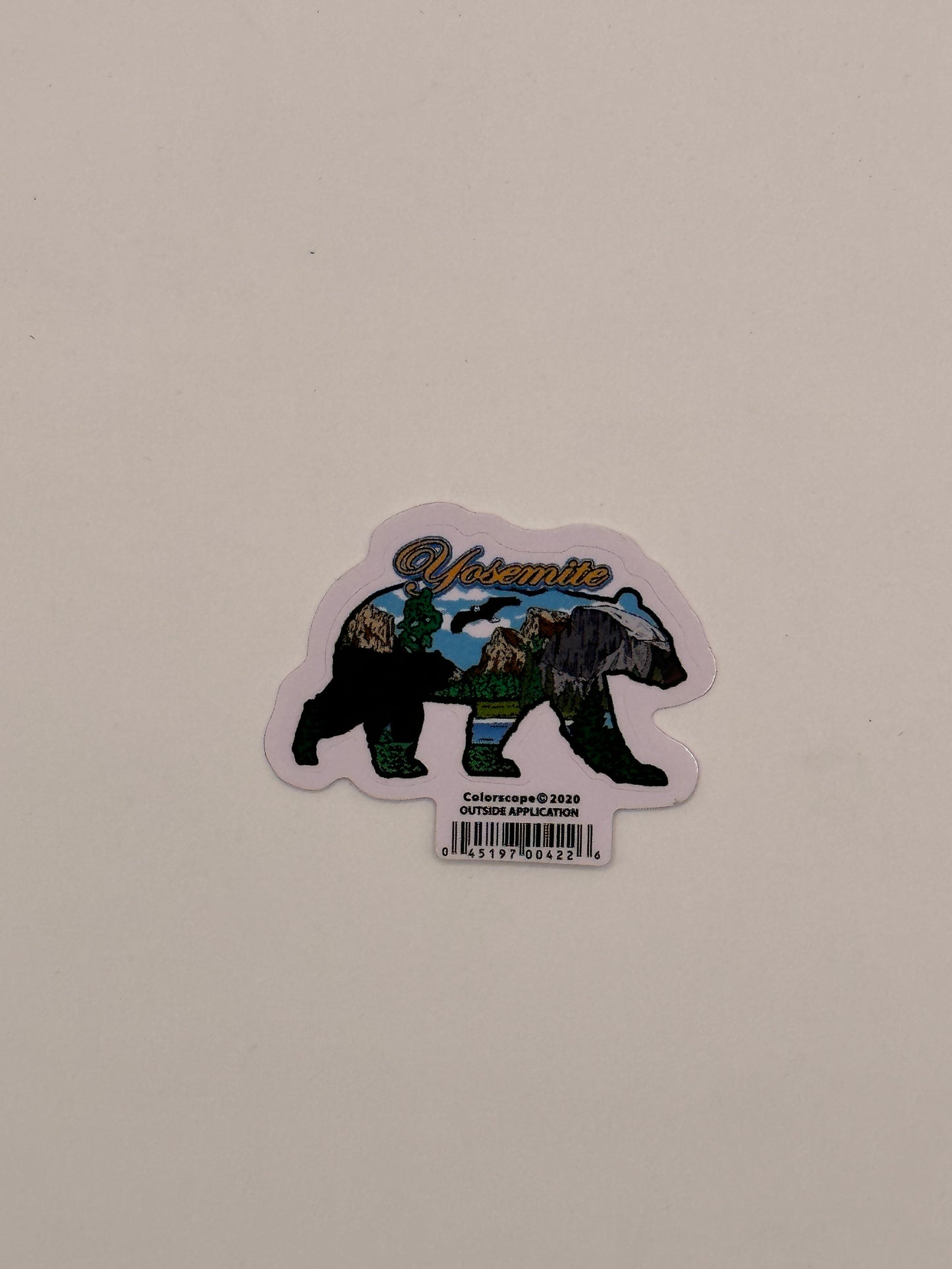 Bear Collage