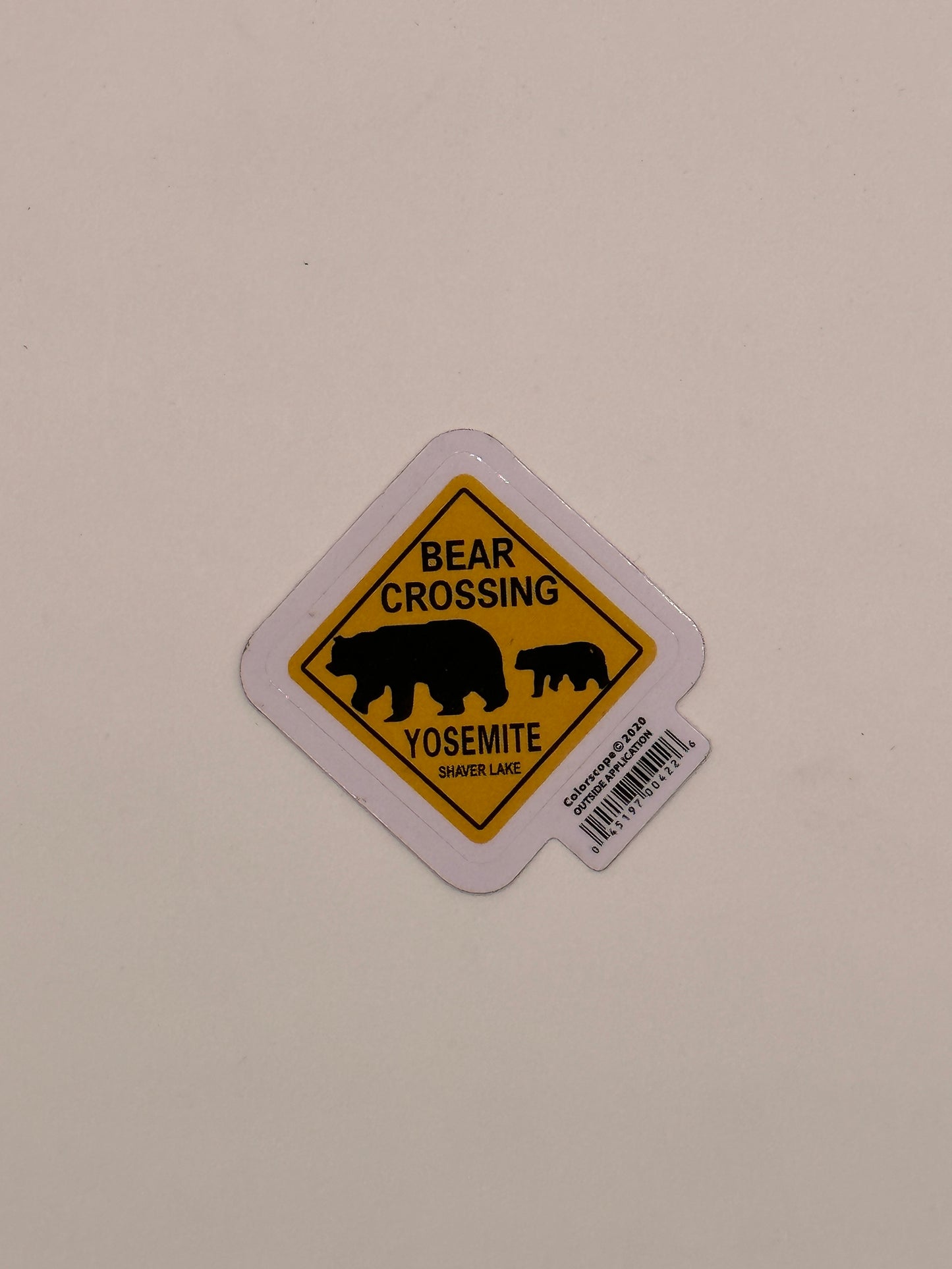 Bear Crossing