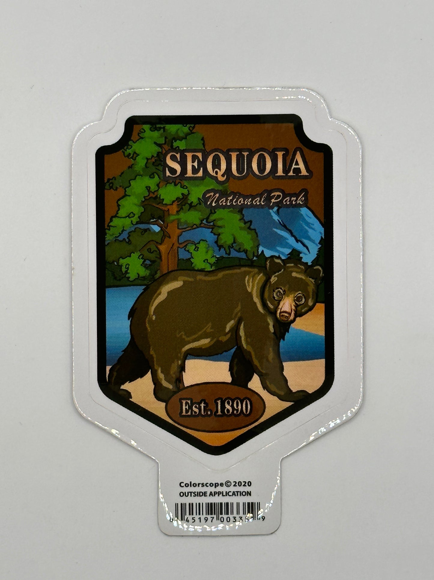 Shield Cartoon Bear