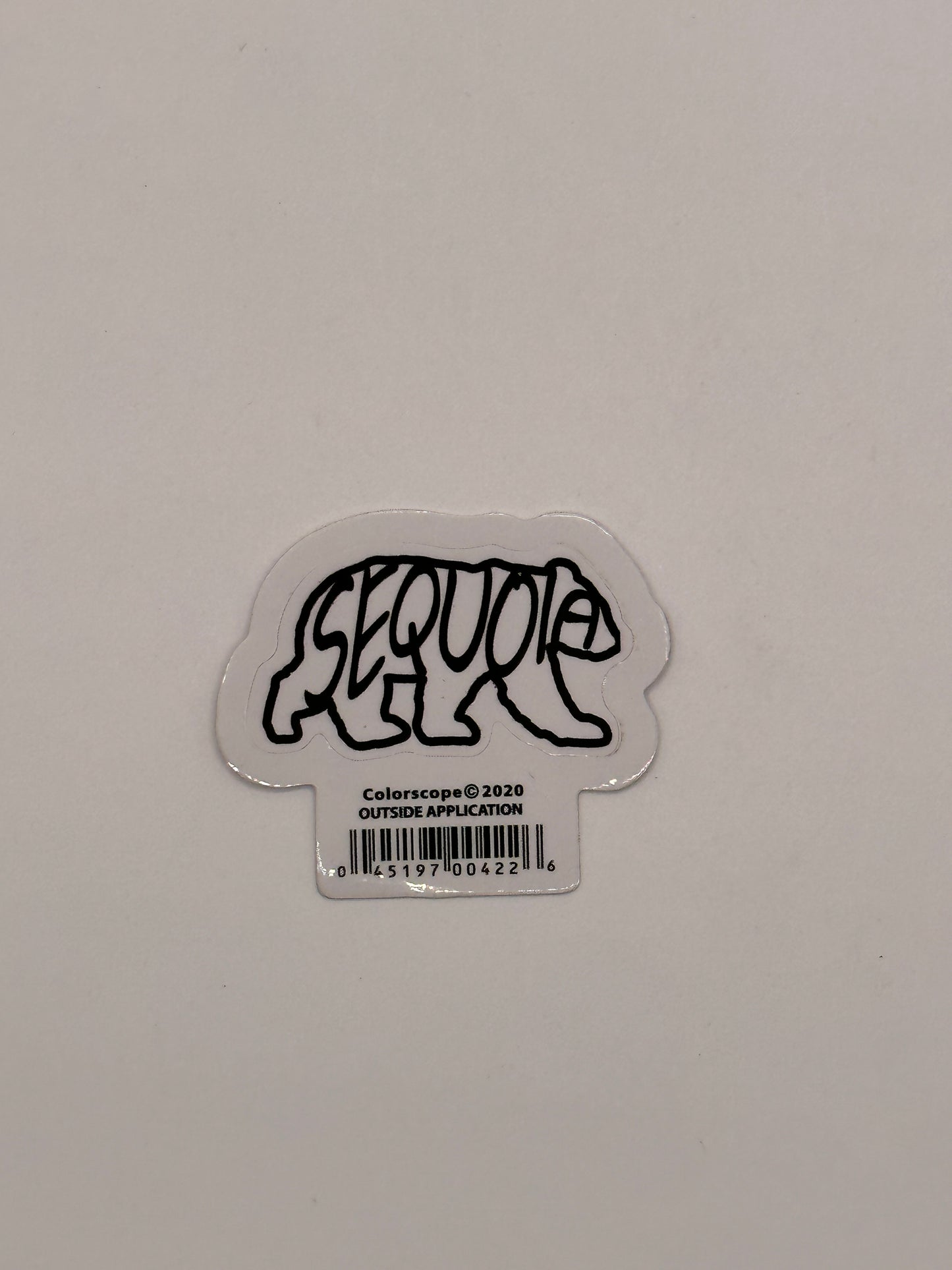 Bear Letters