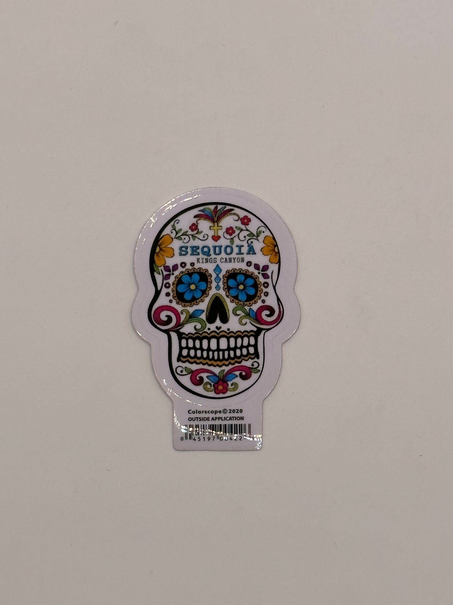 Skull