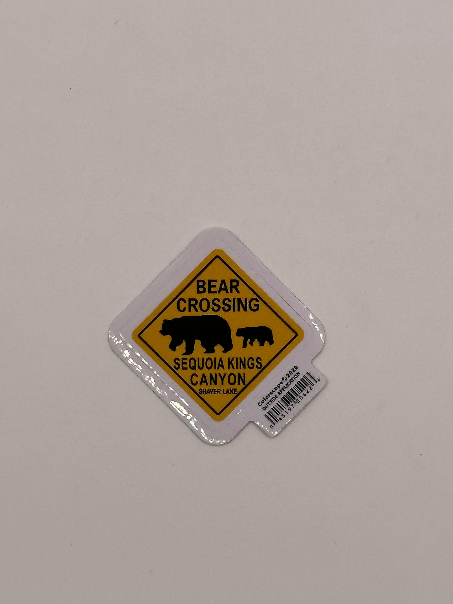 Bear Crossing