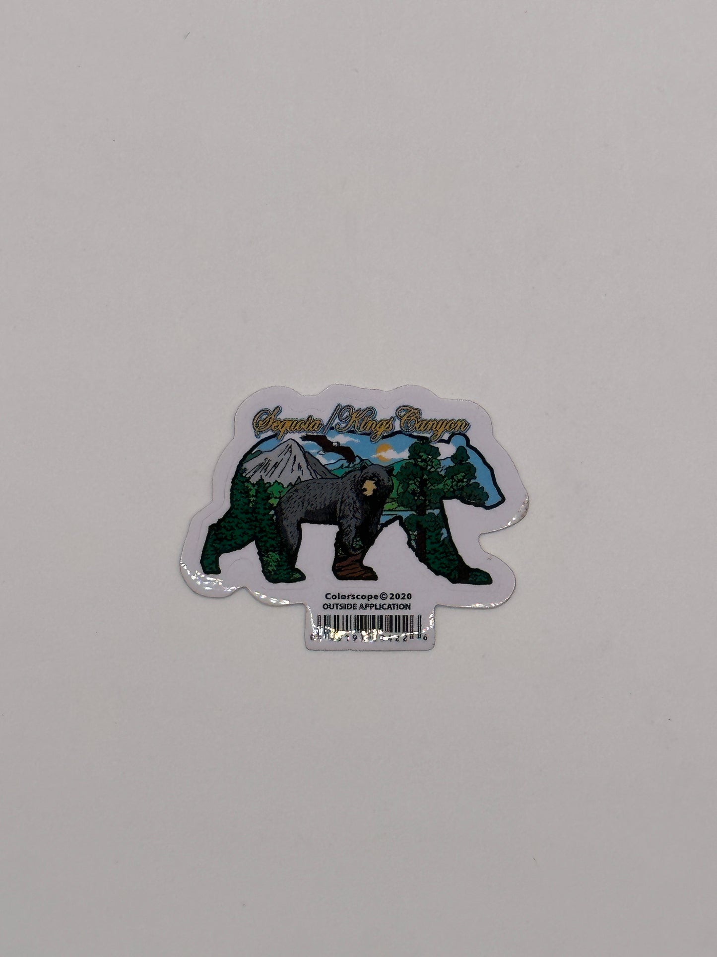 Collage Bear