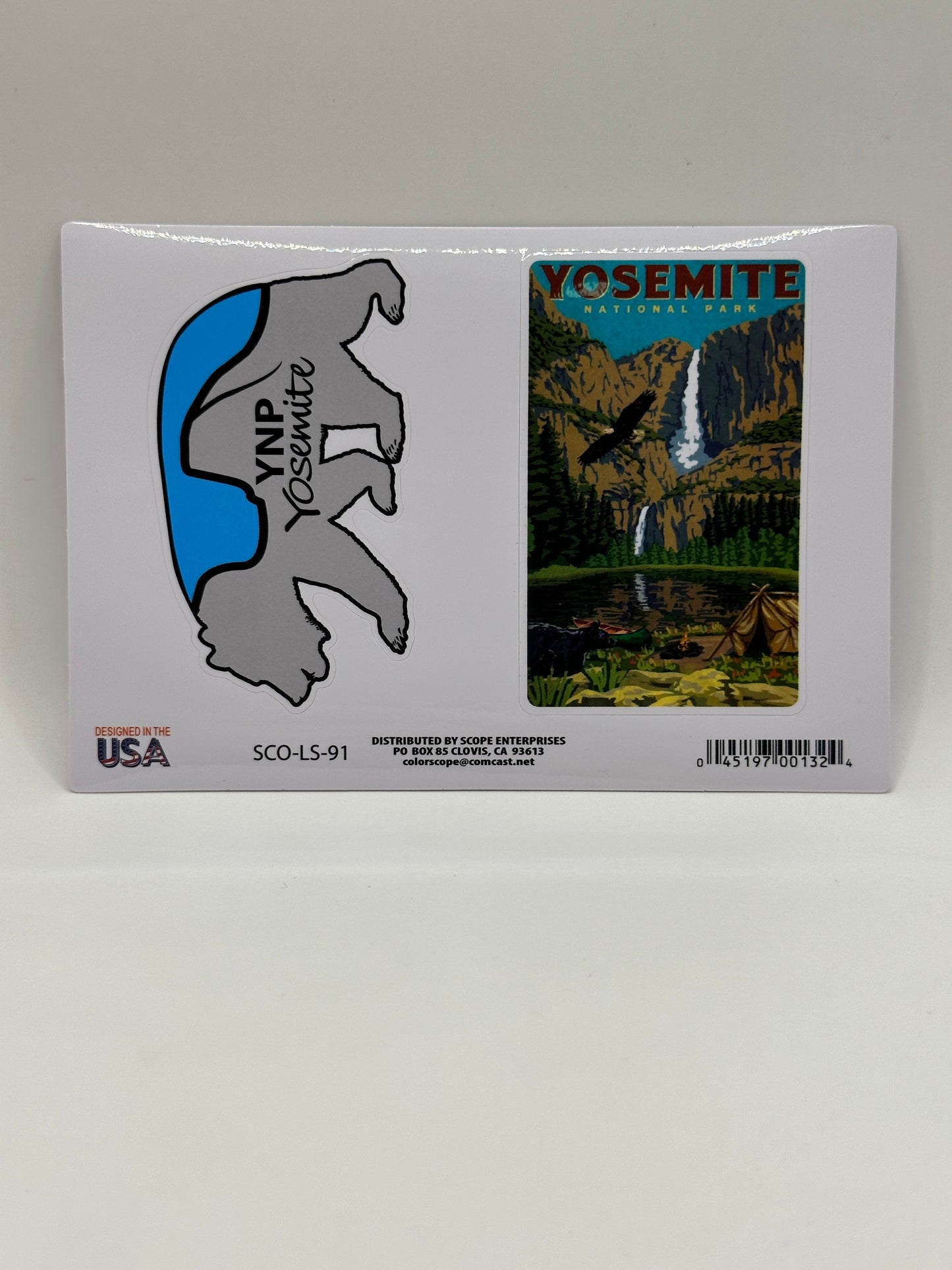 Bear & Poster