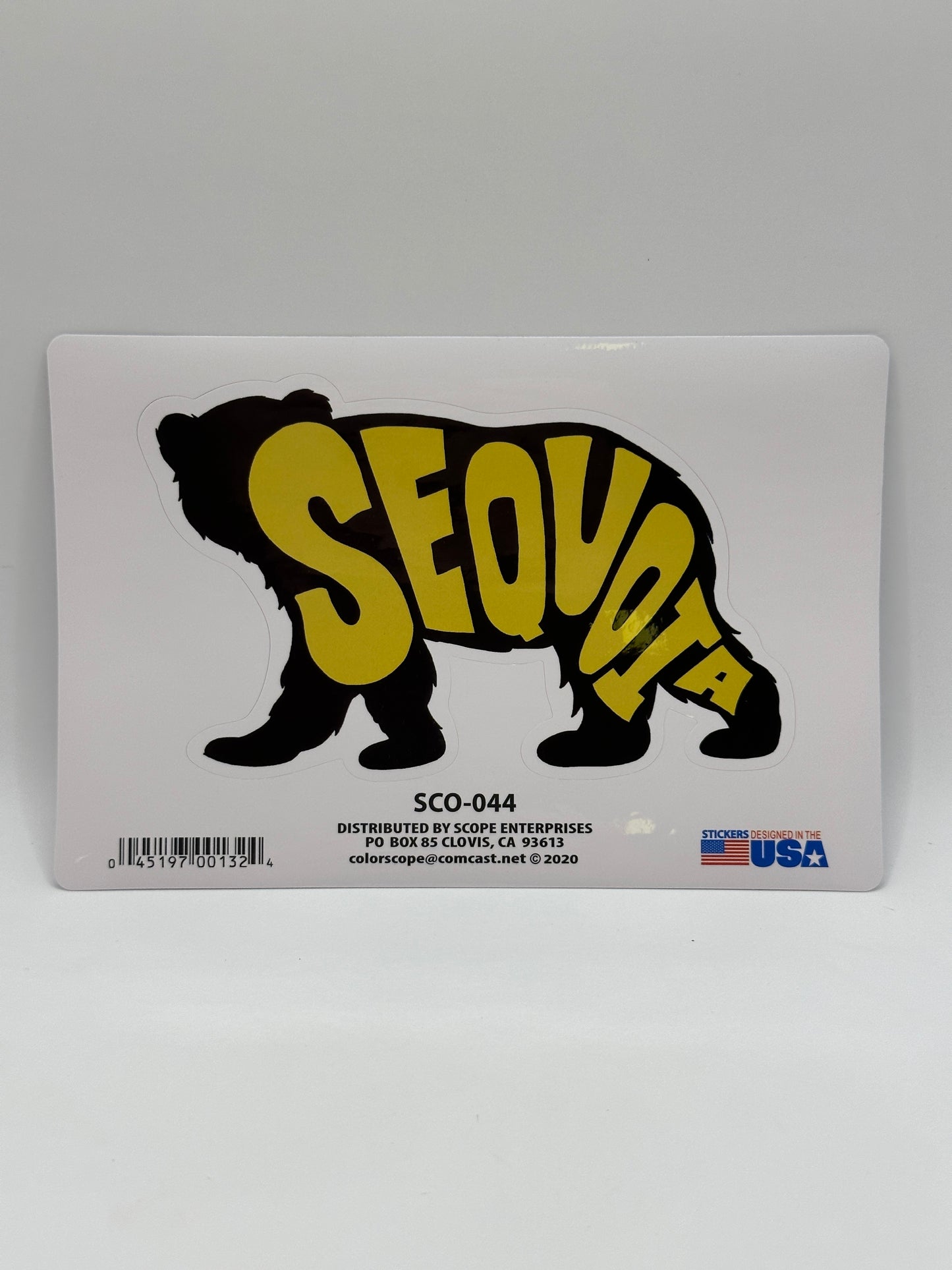 Bear Letters