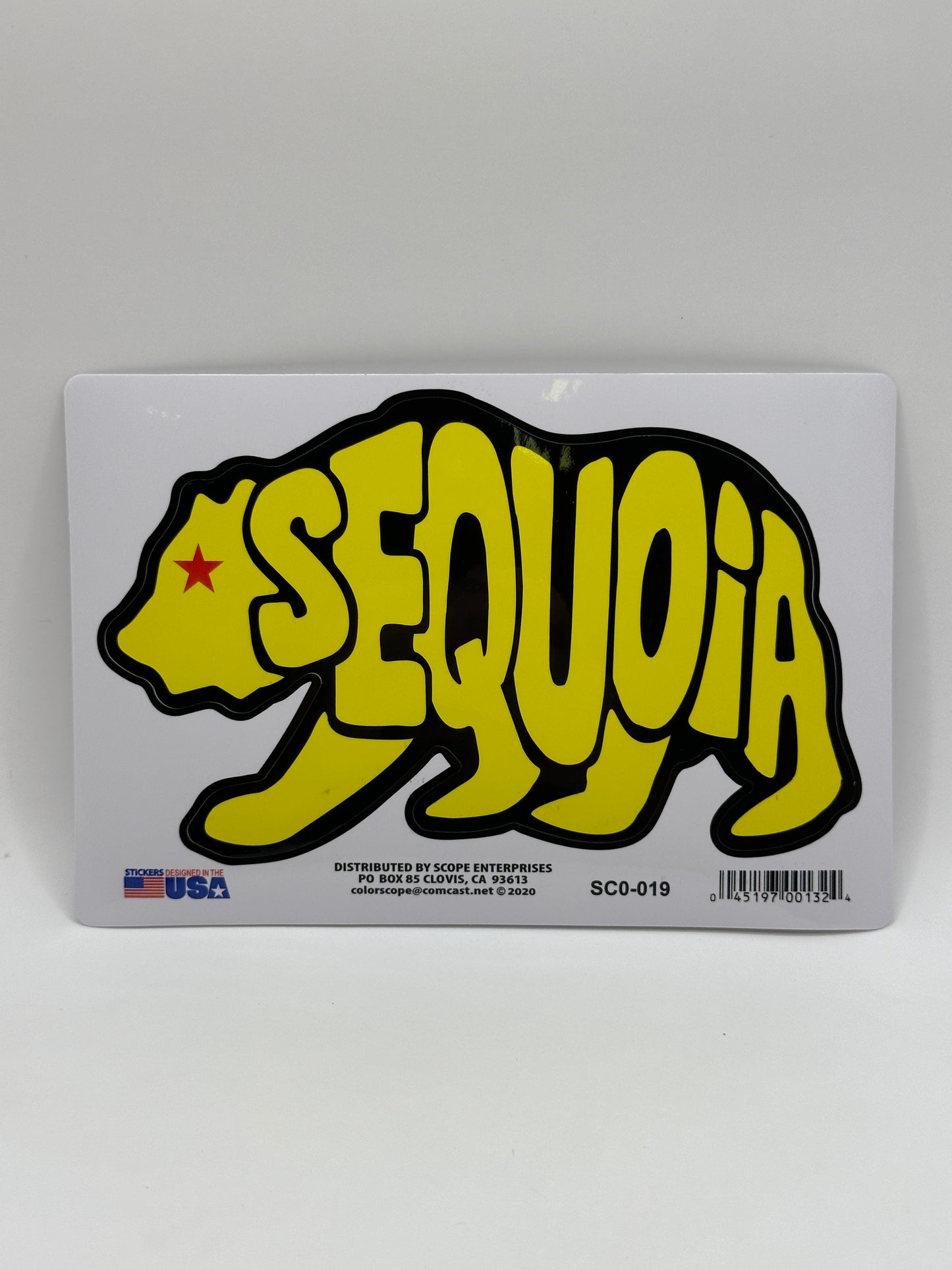 Bear Letters CA Flag