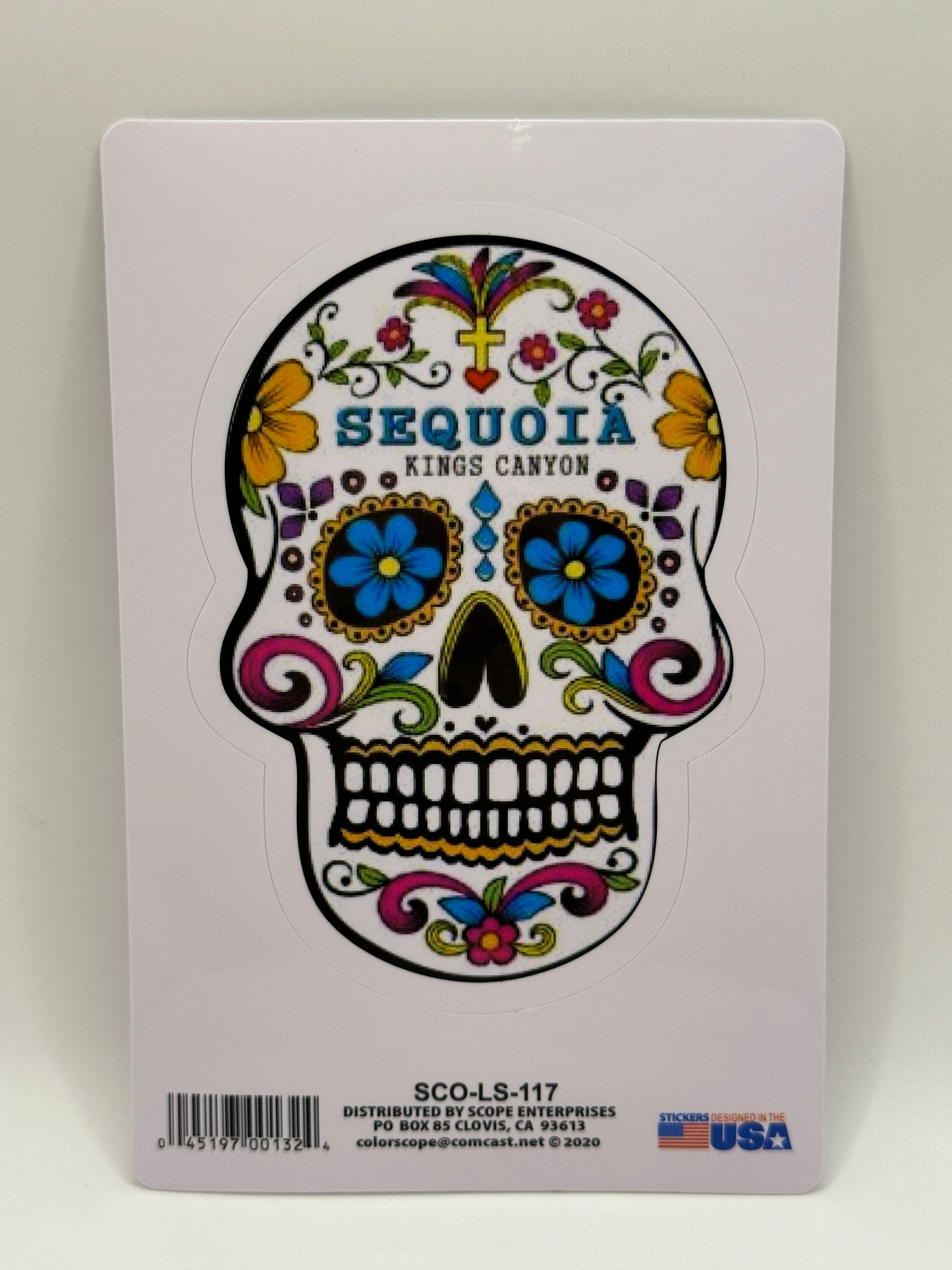 Skull