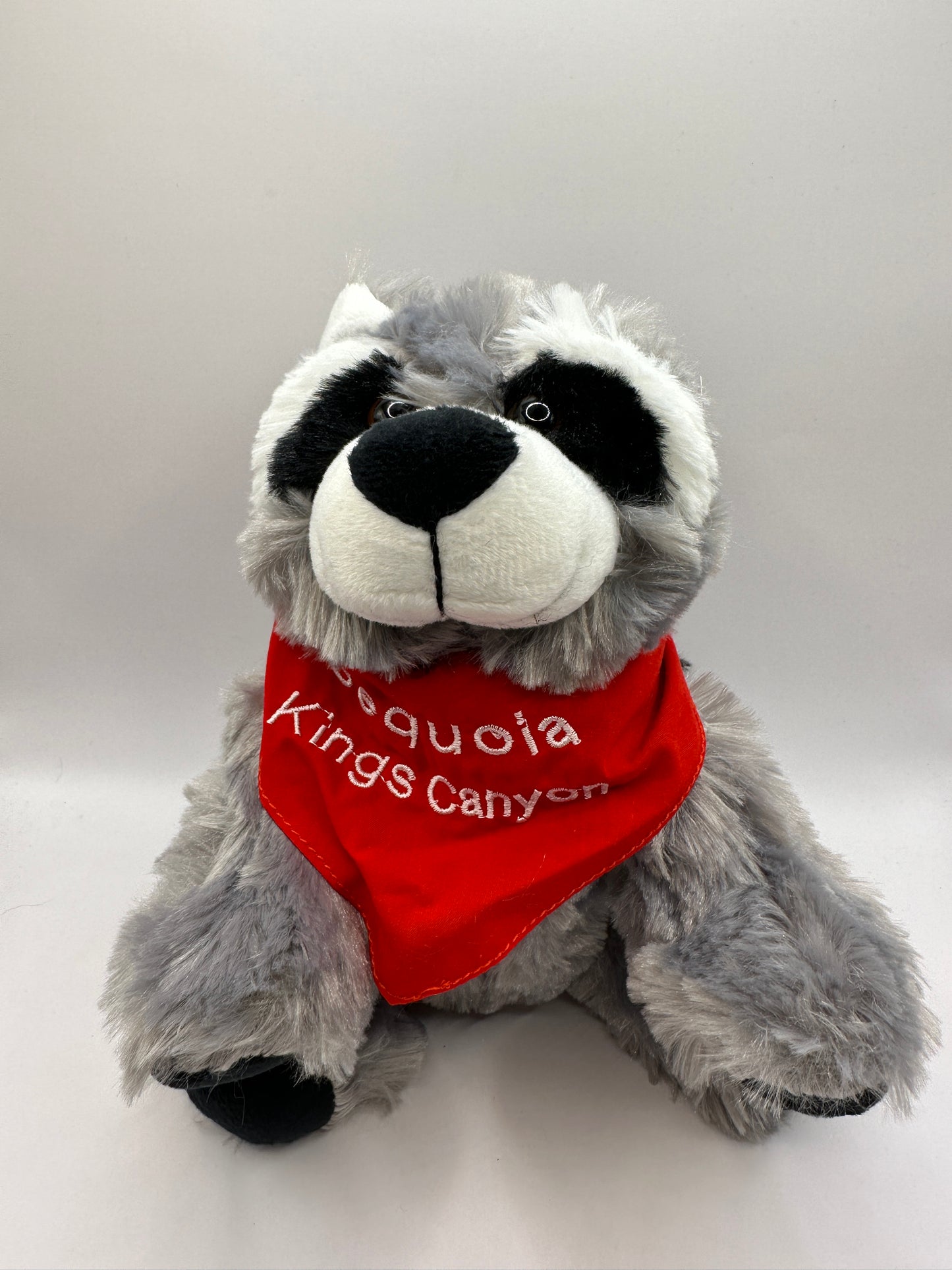 Raccoon