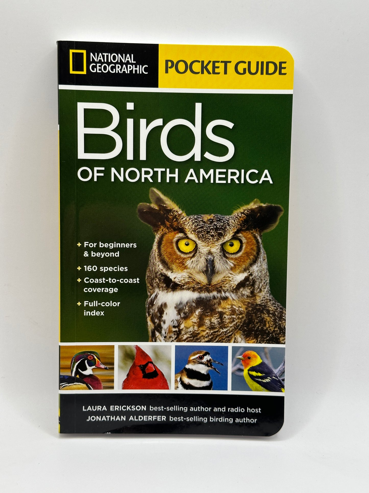 Birds