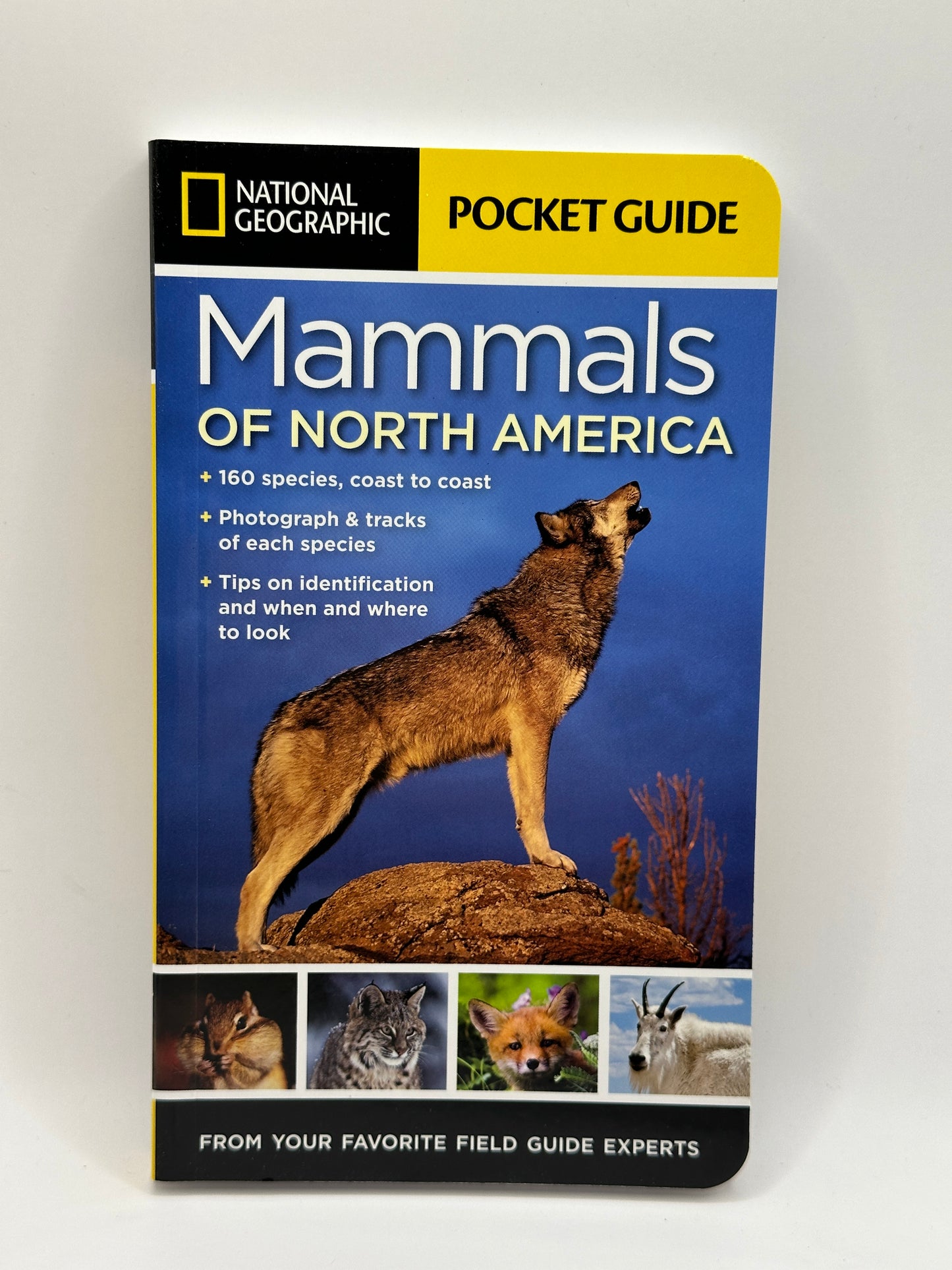 Mammals