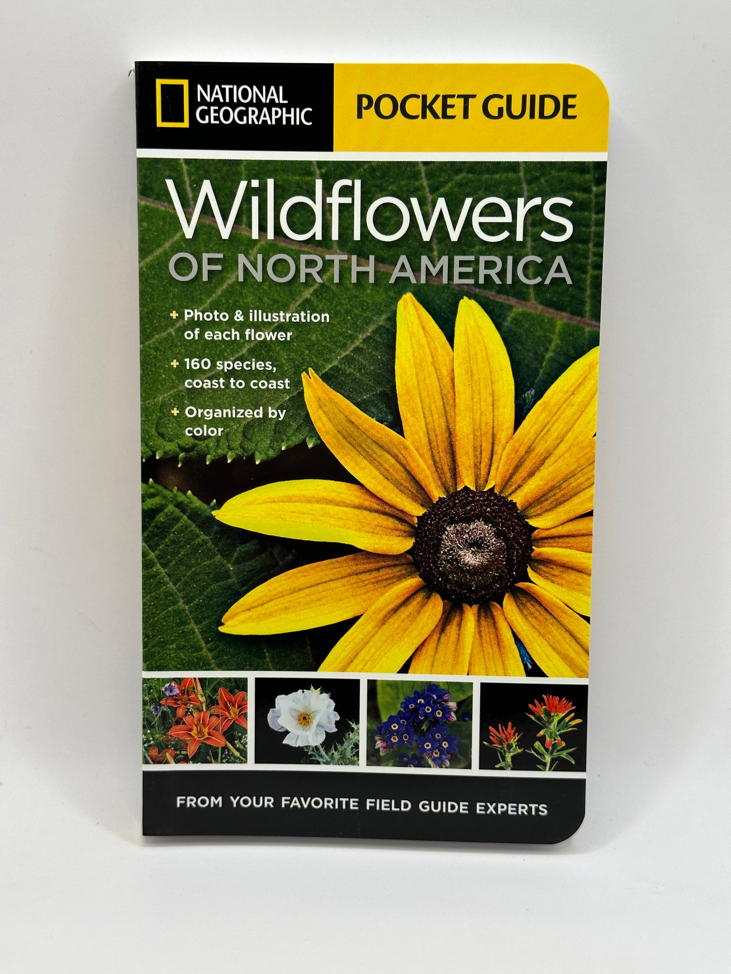 Wildflowers