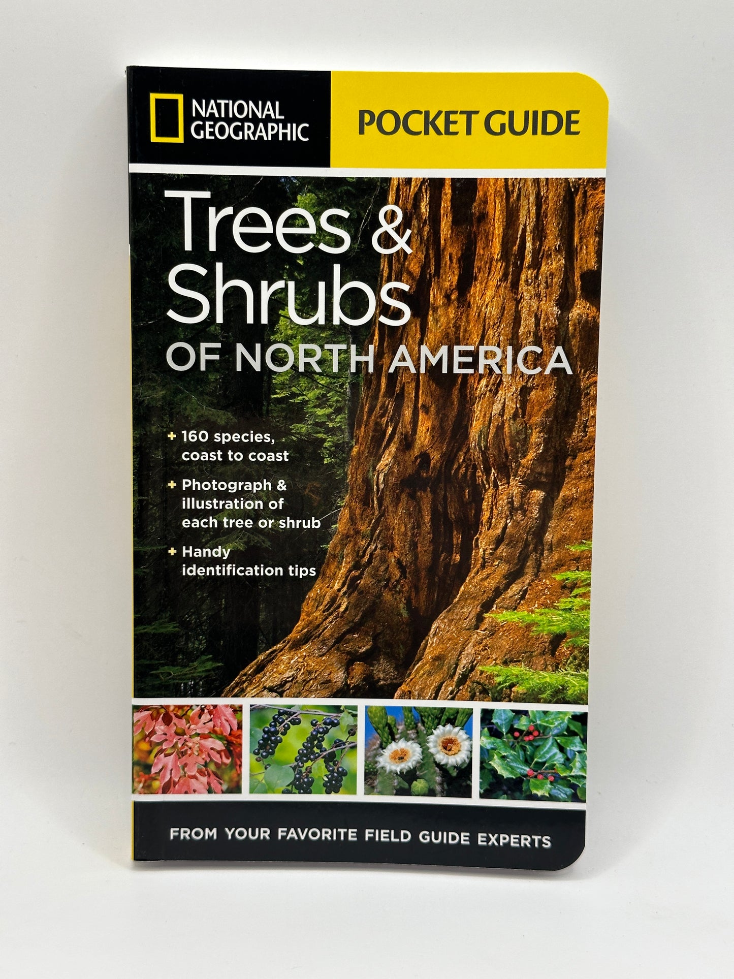 Trees & Shrubs