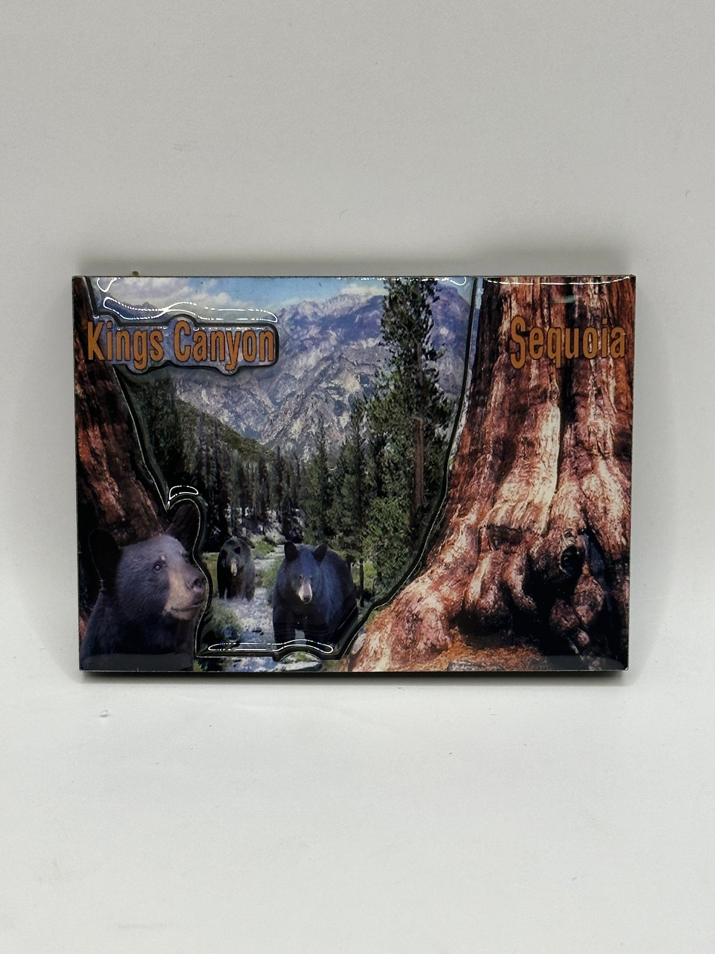 3D Valley Bears
