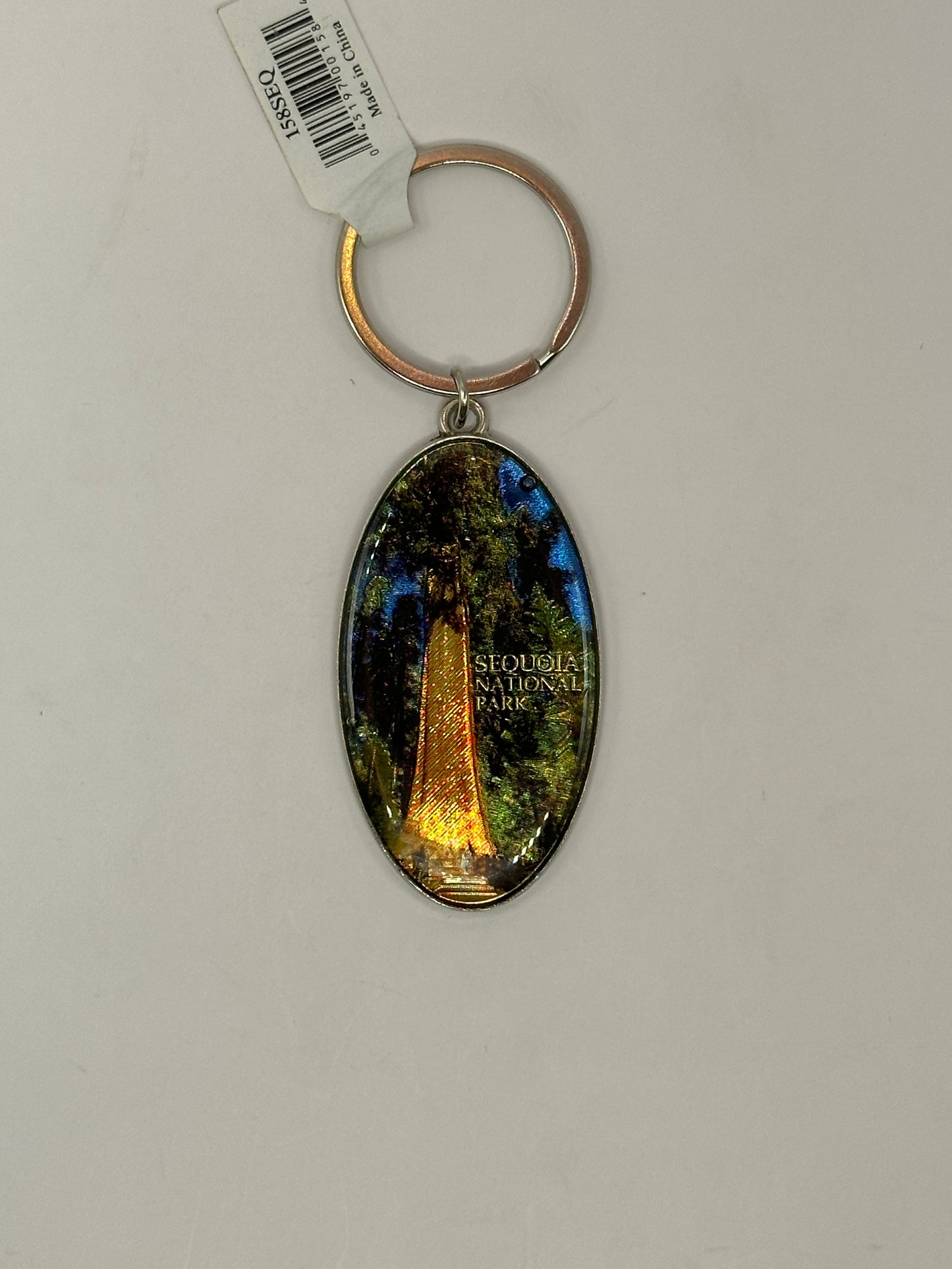 Oval Tree