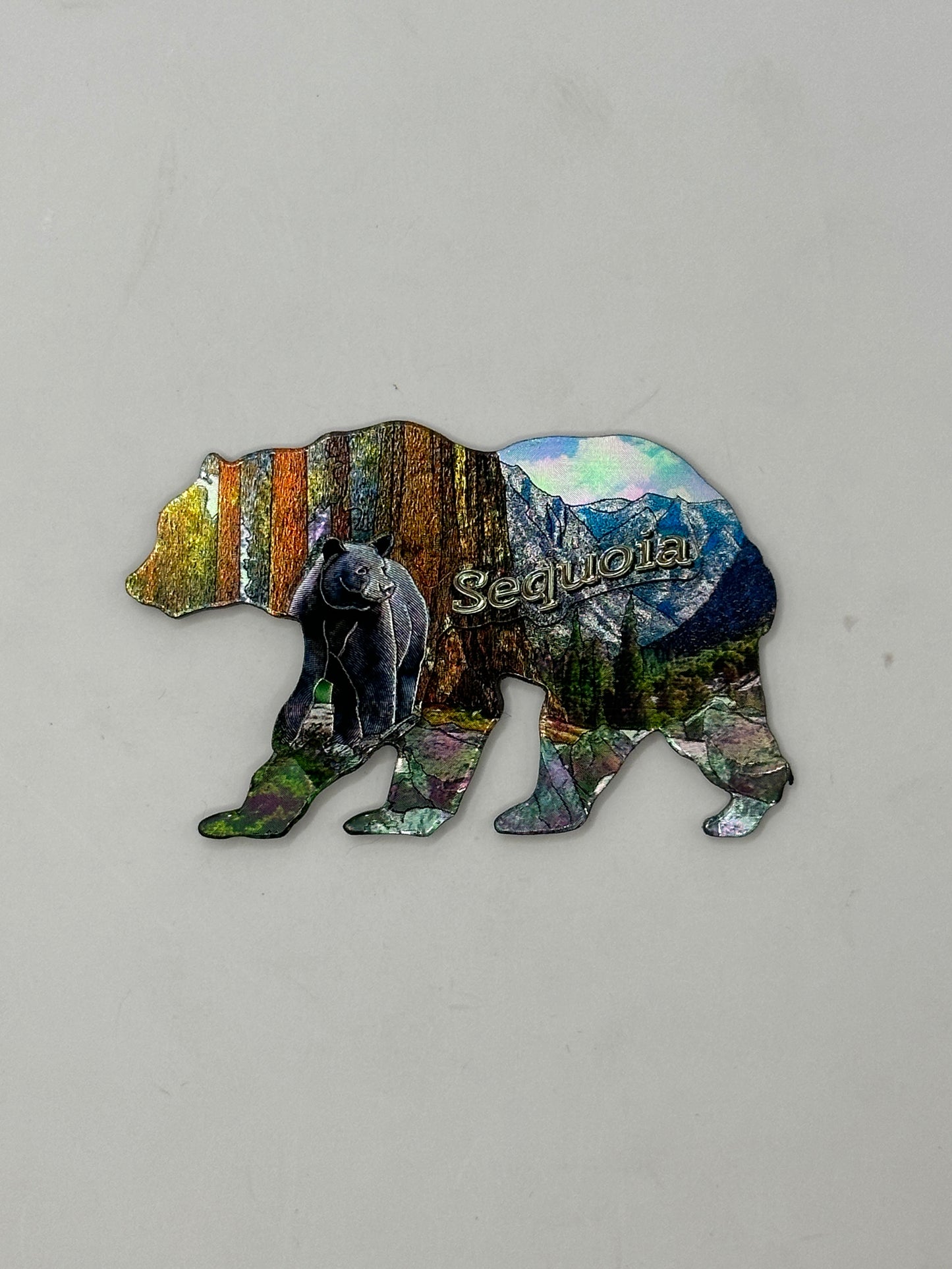 Foil View Bear