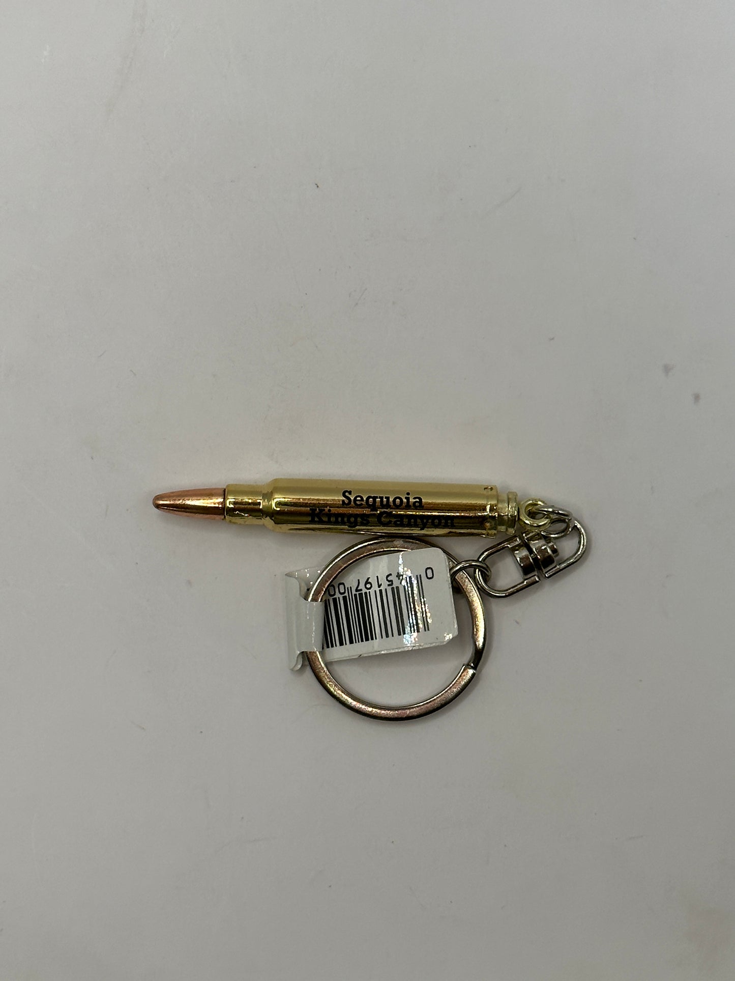 Large Bullet