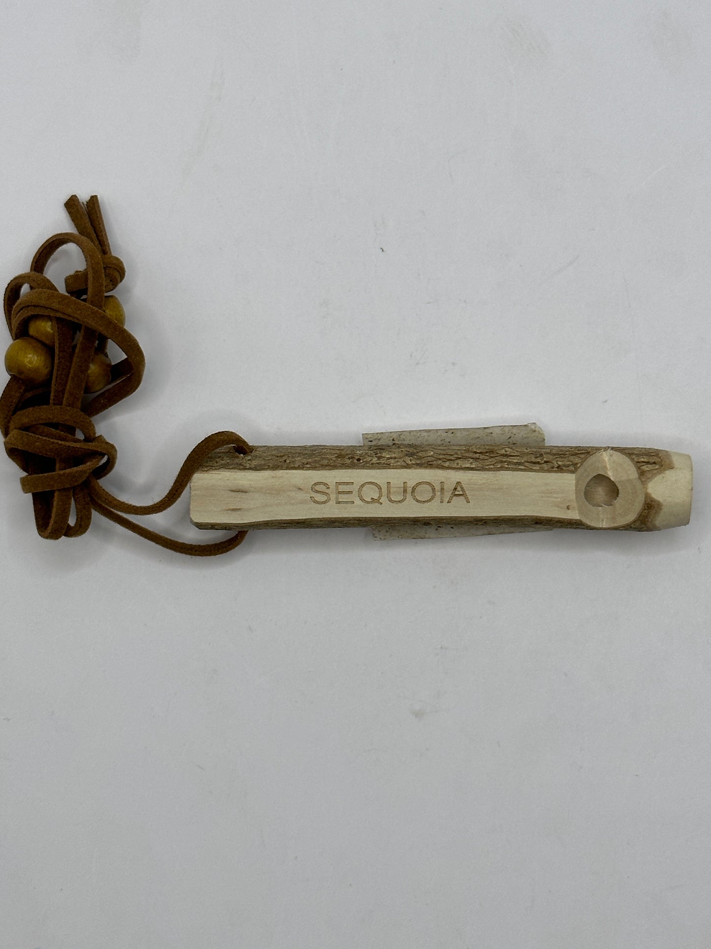 Whistle Necklace
