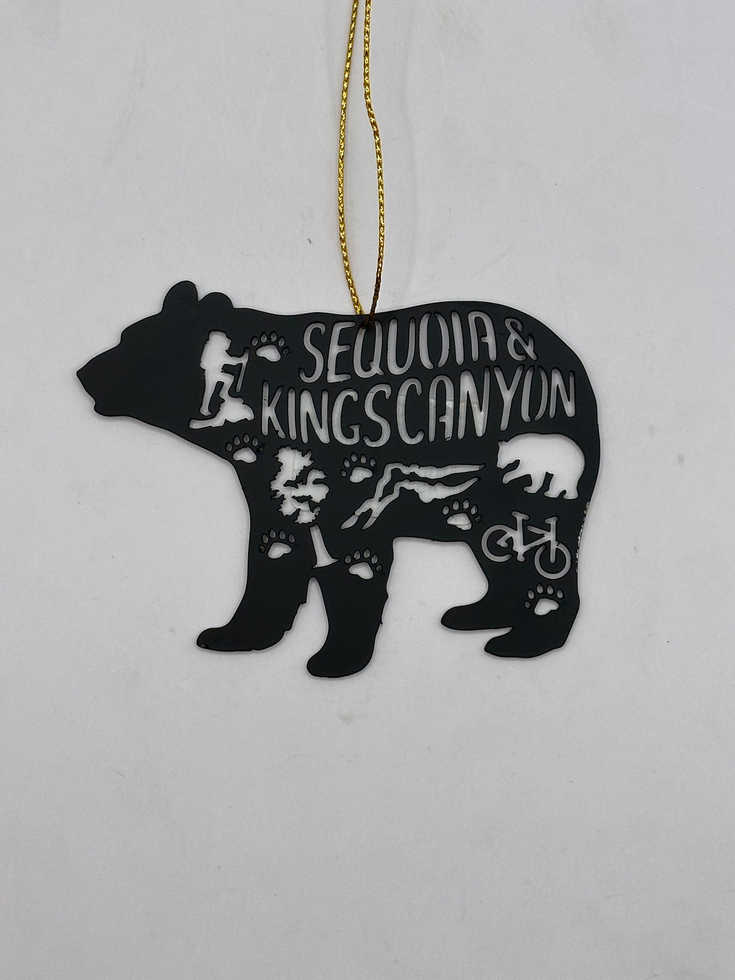 Black Bear