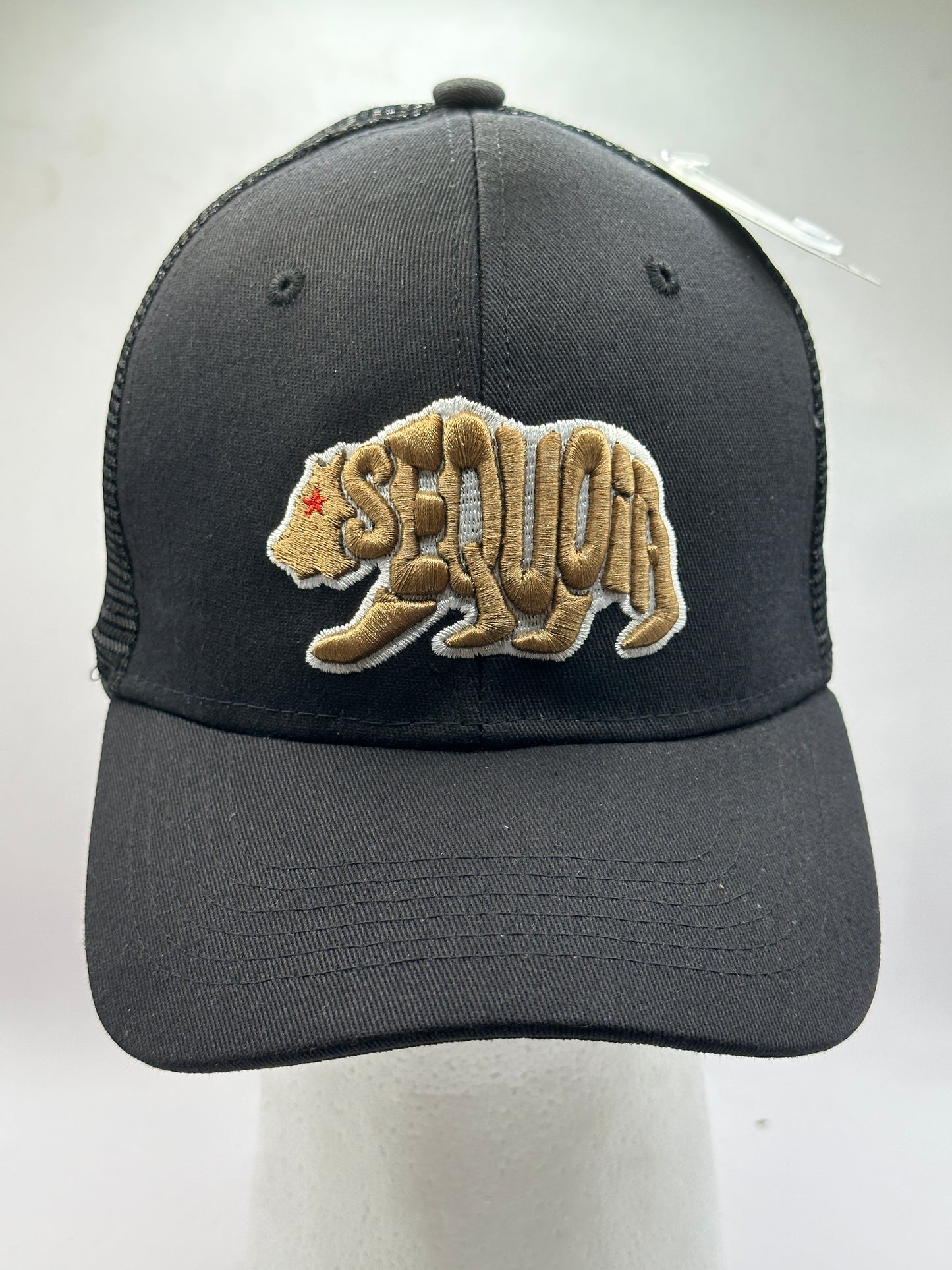 Seq. Black Letters Bear