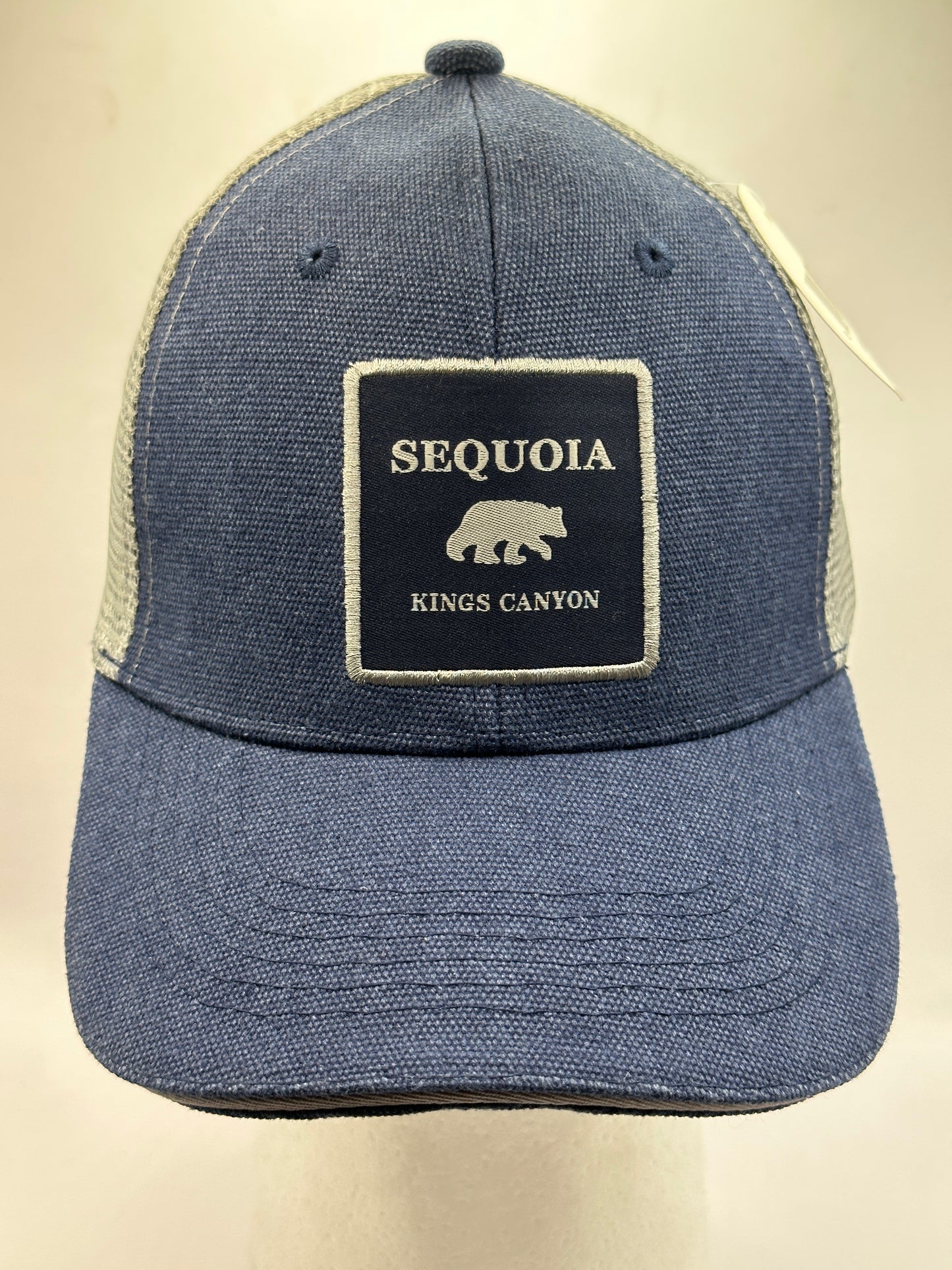 Seq. Blue Canvas Patch