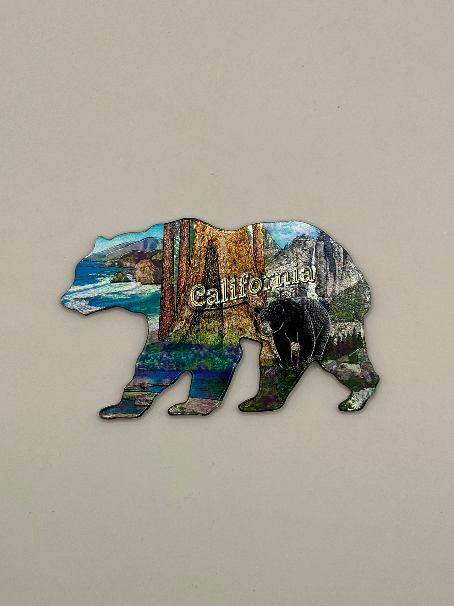 Foil View Bear