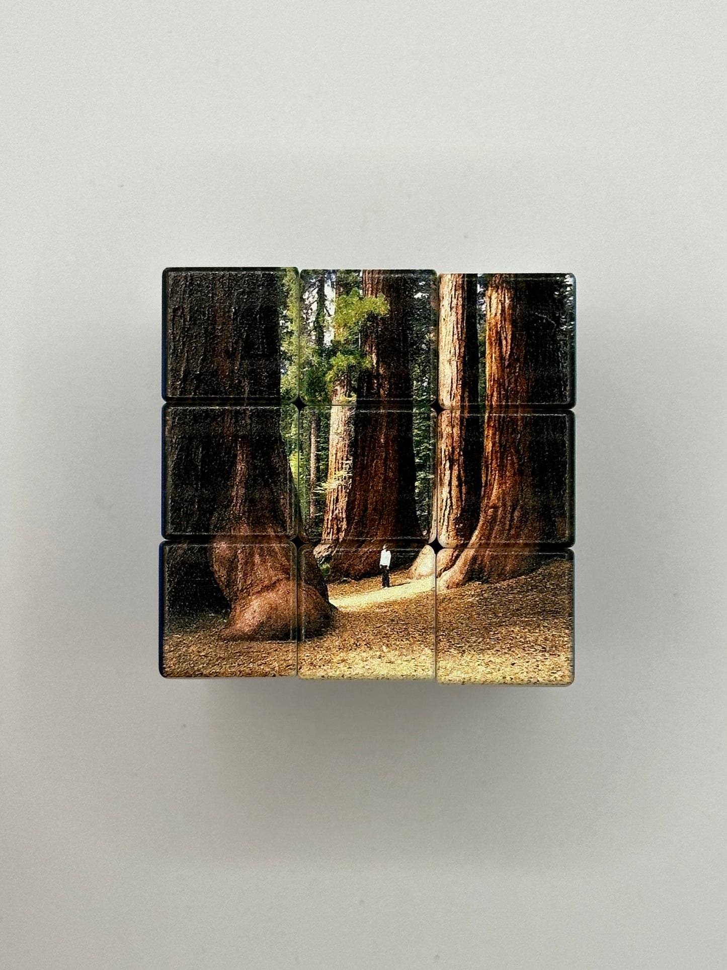 Rubik's Cube Yosemite