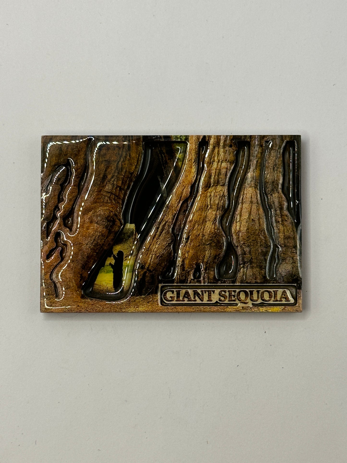 Giant Sequoia