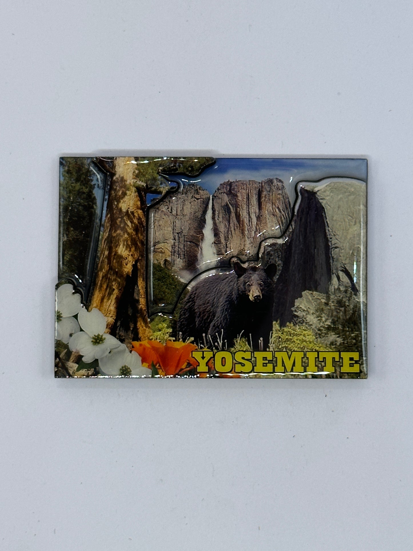 3D Bear View