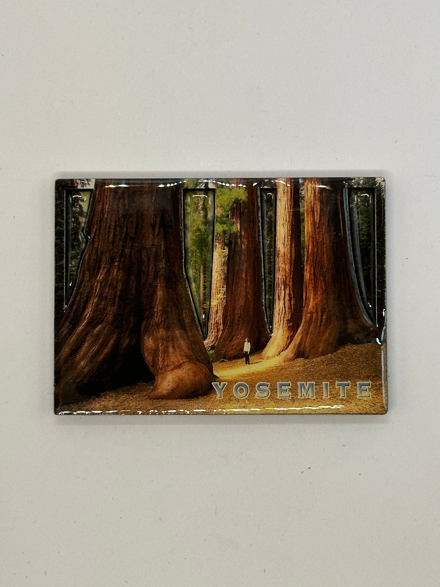 3D Trees