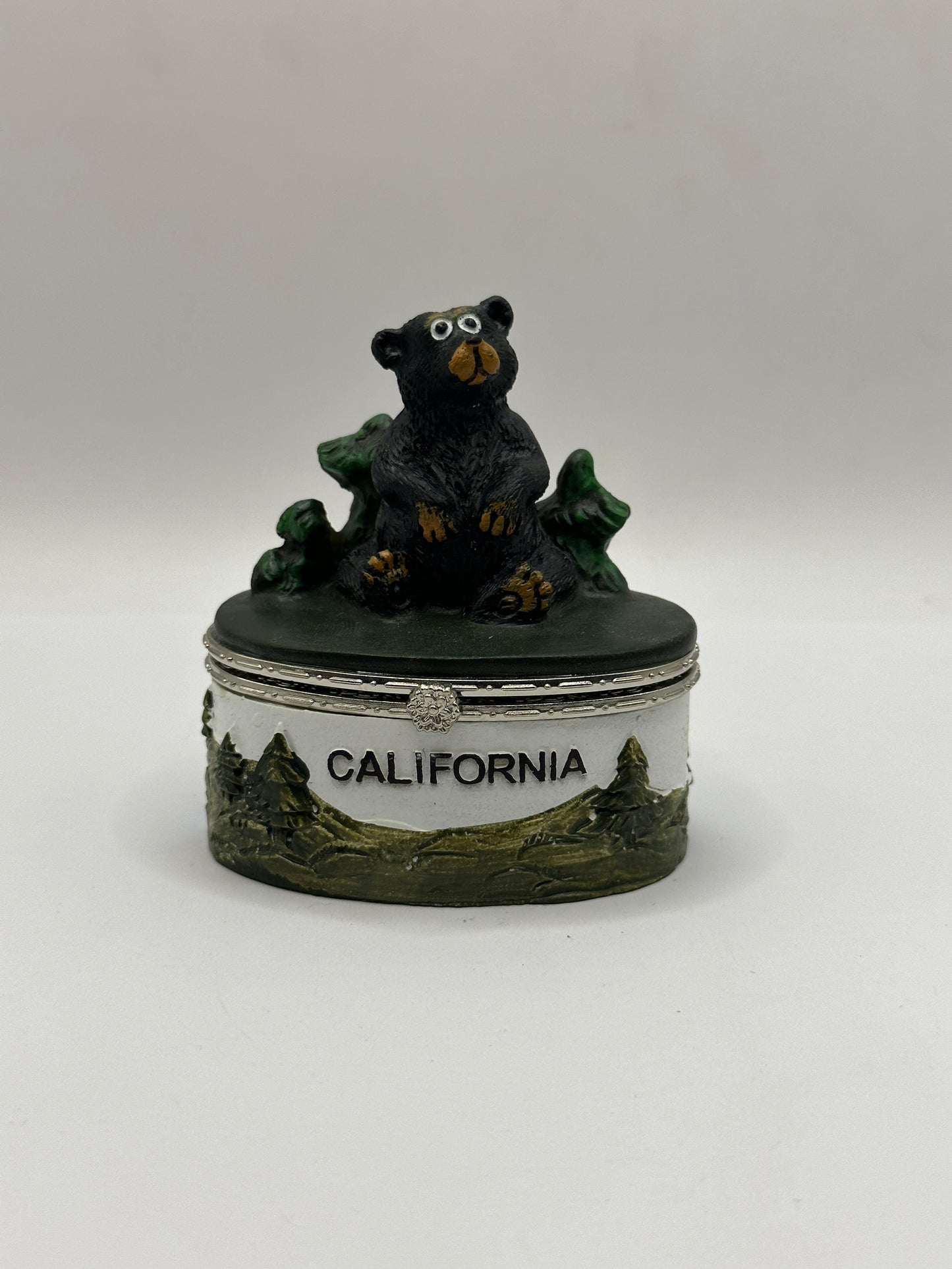 Sitting Bear
