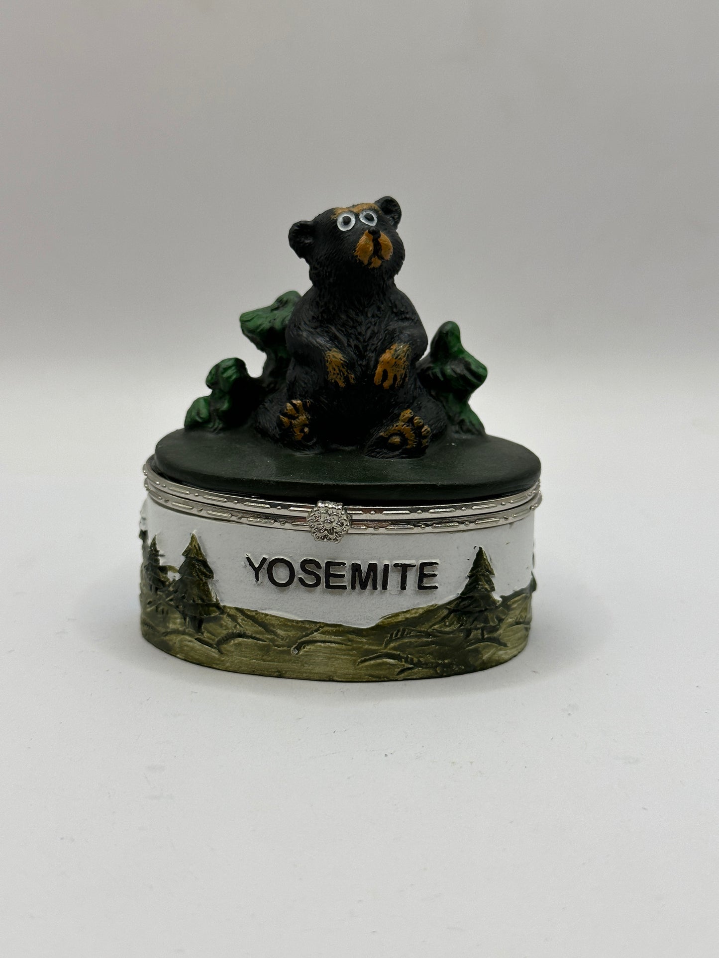 Sitting Bear