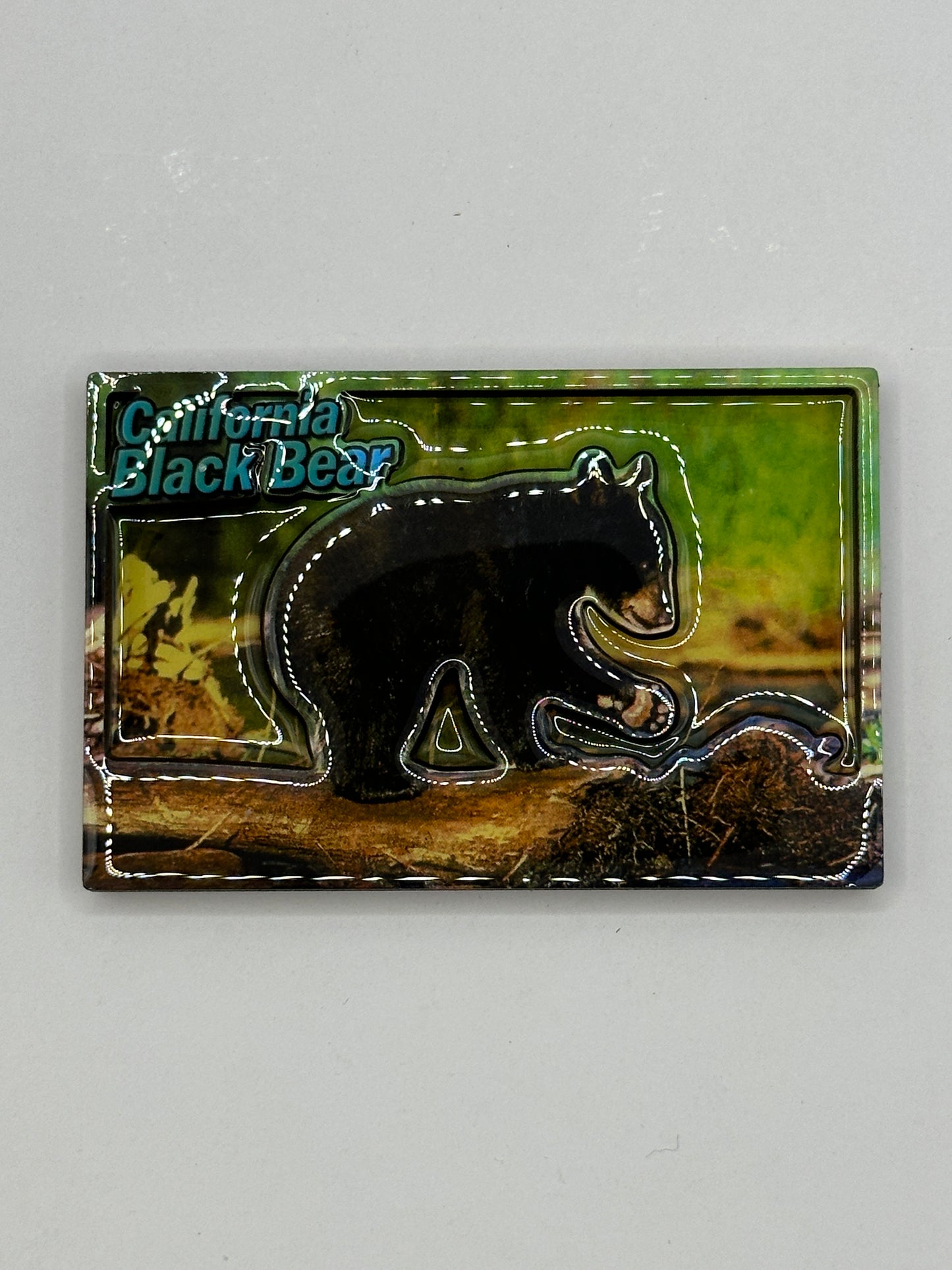 3D Black Bear