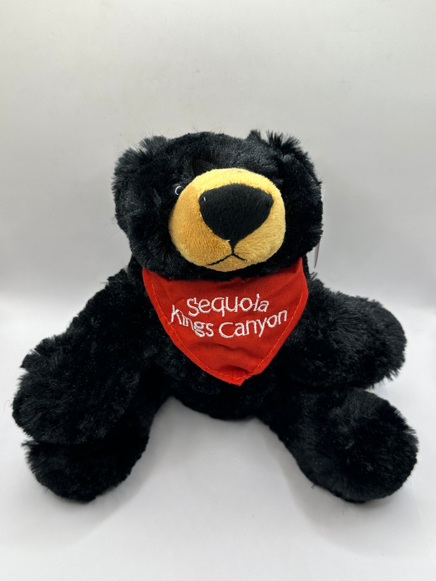 Black Bear