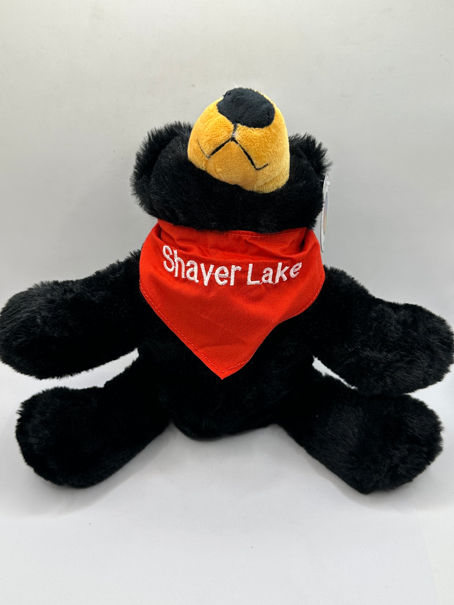 Black Bear