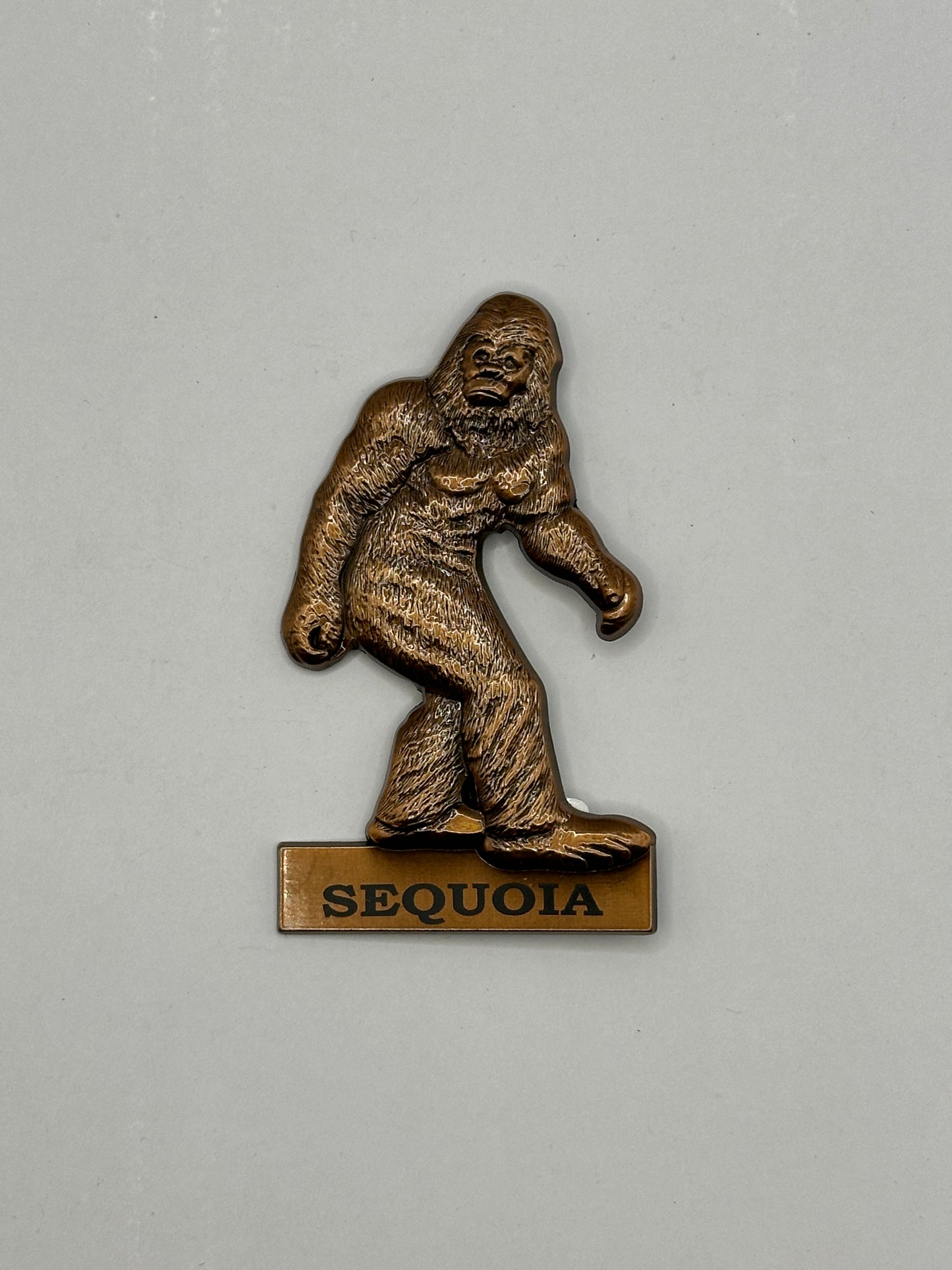 Magnets Sequoia