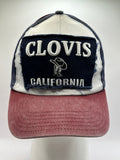 Hats Clovis