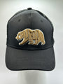 Black C.A. Bear