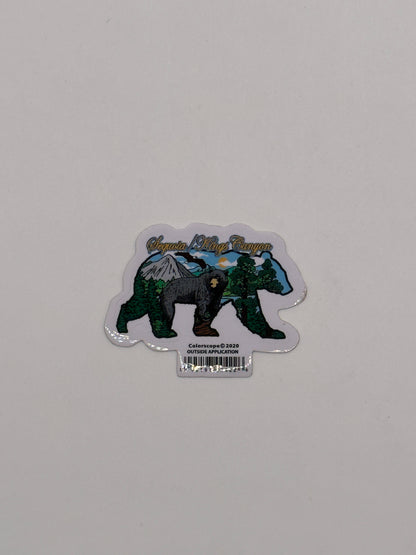 Collage Bear
