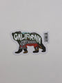 VW Bear
