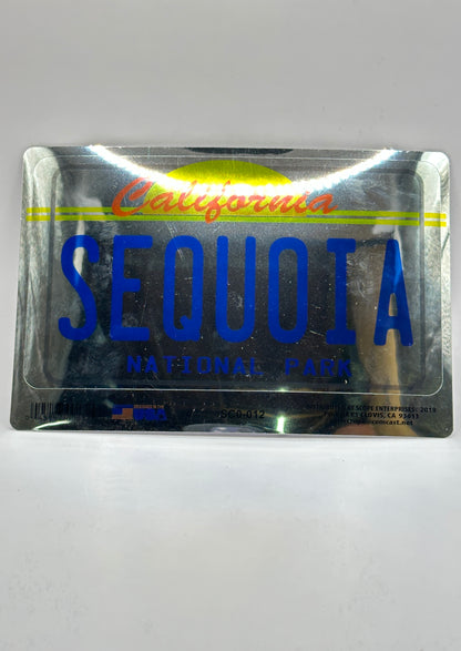 Silver License Plate