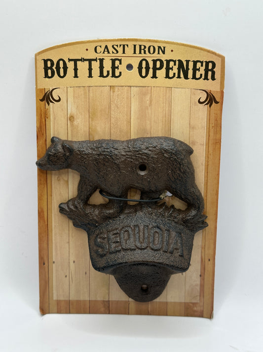 Cast Iron Bear