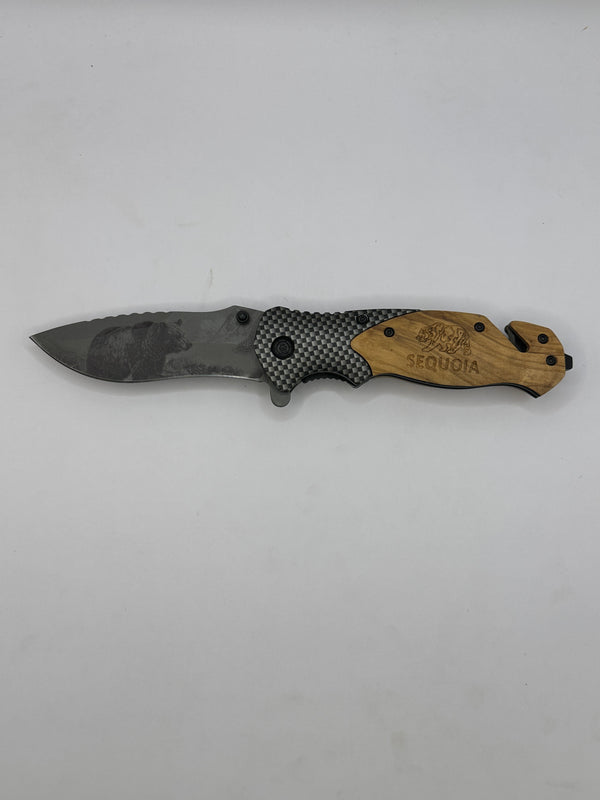 Carbon Fiber