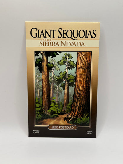 Giant Sequoias