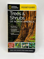 Trees & Shrubs