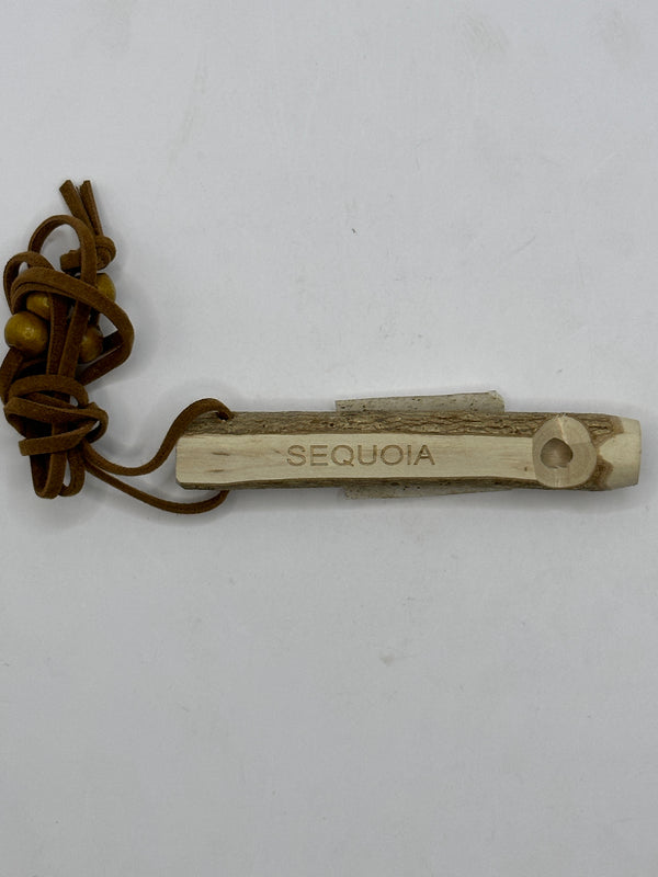 Whistle Necklace
