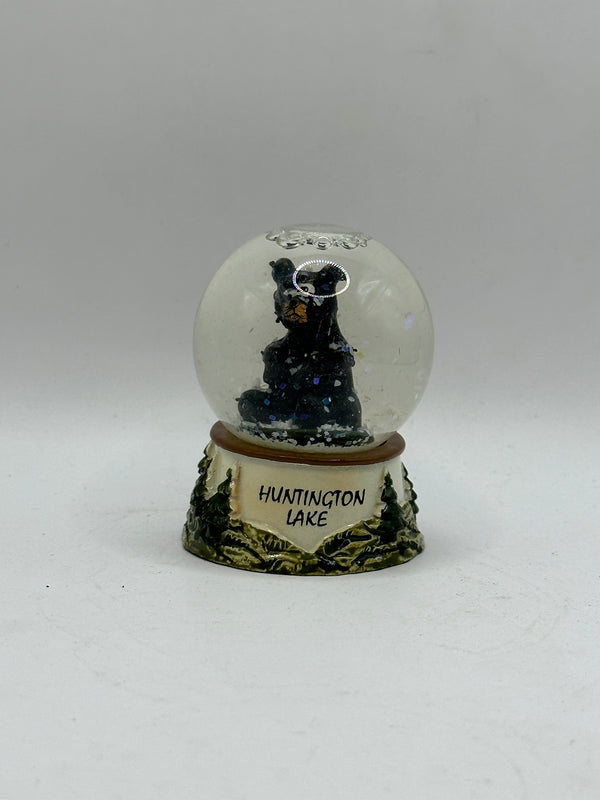 Snow Globe Huntington Lake